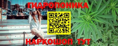 MDMA Premium VHQ Аргун