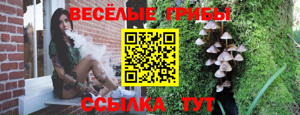 Галлюциногенные грибы GOLDEN TEACHER  Вход с VPN  Батайск 