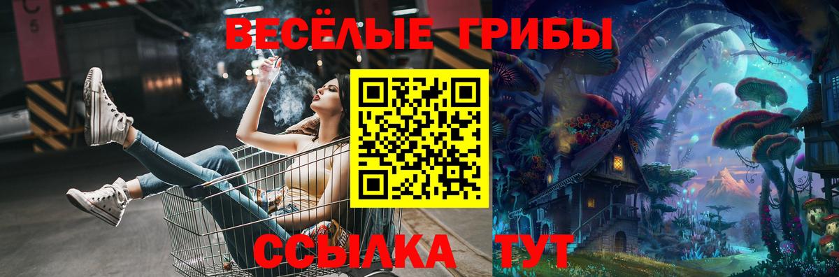 где купить   Галлюциногенные грибы GOLDEN TEACHER  Батайск  Галлюциногенные грибы Psilocybine cubensis 